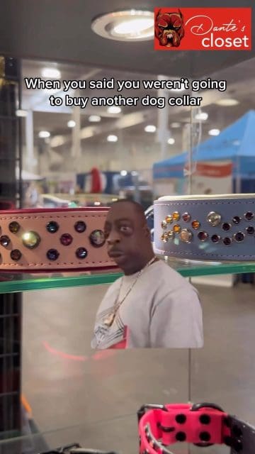 When you said you weren’t going to buy another dog collar 😭🤣 #guilty #dogcollaraddict 

You can save our etransfer email under “ Book Store “ 🤣🫠

Send this to a friend 🤭

Visit us at dantescloset.ca 🛒

#dogsofinstagram #dogsdaily #dogsonadventures #cutedogs #dogsoftheworld #hikingwithdogs #ilovemydog #puppy #puppies #pupper #k9 #k9unit 
#dogsofinstagram #dogs #dogslife #dogsofig #dogsdaily #dogsrule #americanbully #doggo #pit #pitbull #pitbullsofinstagram #frenchie #frenchiegram #frenchielife
