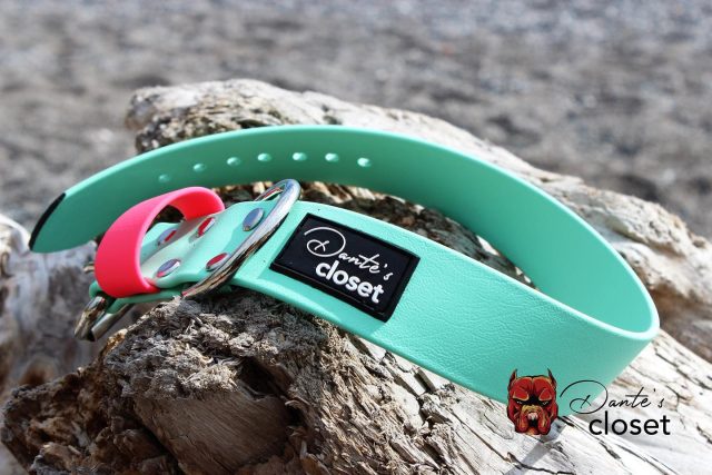 Everyday collars 😎

Visit us at dantescloset.ca 🛒

#dogs #dogsofinstagram #dogsofinsta #dogslover #dogsofig #biothane #biothane #biothanecollar #biothane #biothanecollars #waterproof