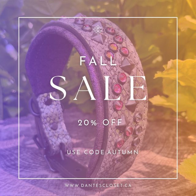 Fall sale 🚨⬇️

Grab those special items that you’ve been wanting 😎

ADD item to the basket ⬇️

ADD discount code at check out page ✅

Wait for your special order to be handmade ❤️

Available until the November 18th🗓️

Don’t hesitate to contact us if you need assistance ‼️❣️

Visit us at dantescloset.ca 🛒

#dogs #doglover #dogcollar #dogcollars #dogsofig #dogsrule #dogsandpals #lovedogs #instadogs #dogslovers #dogsarefamily #pup #puppy #sale #salesalesale