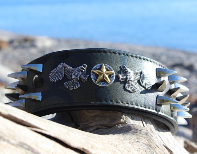 Tail-waggingly unique designs for every breed 👑😎
#dantesclosetcollars #dantescloset #handmadelesthercollars #handmadecrafts #handmade #leatherdogcollars #leatherworks #dogcollars #uniquedogcollars #pitbull #americanbully #doberman #dogoargentino #presacanario #mastiff #canecorsocanada