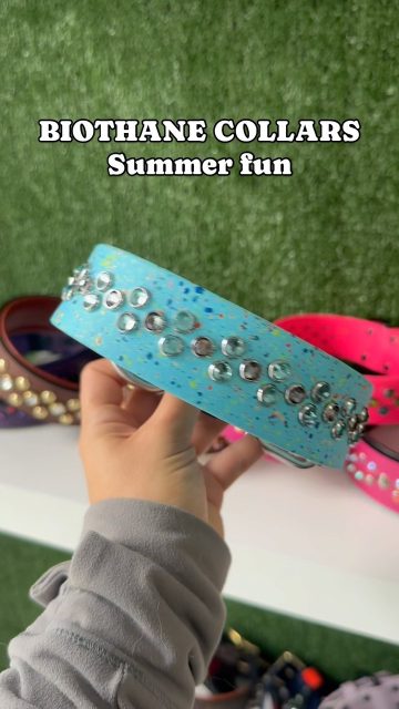 Water proof dog collars 💦😎

Handmade dog collars for all puppers 🐶🐕🐩
Sparkly gems 💎 
Unique designs ✅
Open for custom orders ✅
Worldwide shipping ✈️🌎

Visit us in store at 3320 lakeshore boulevard west 📍
OR at dantescloset.ca ⬅️

#dogsofinstagram #dogs #dogslife #dogsofig #dogcollar #dantesboarding #dantesclosetcollars #dogsrule #dogsofinstgram #dogsofinstaworld #toronto