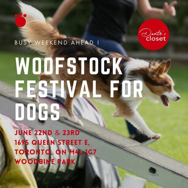 Ready for this summer event ? ☀️🐶🐾🦴

Join us at Woodbine Park on June 22nd and 23rd 🗓️

Woofstock is an annual canine mass-cultural event, drawing tens of thousands of dogs, faithful humans and exhibitors,
from across Canada and the U.S., to Toronto’s Beaches ❣️

Bring your pupper and family for a fun weekend 🐾

#dogs #dogsofinstagram #dogsofinsta #dogsofbark #dogsofig #dogboarding #dogdaycare #dogsartcollars