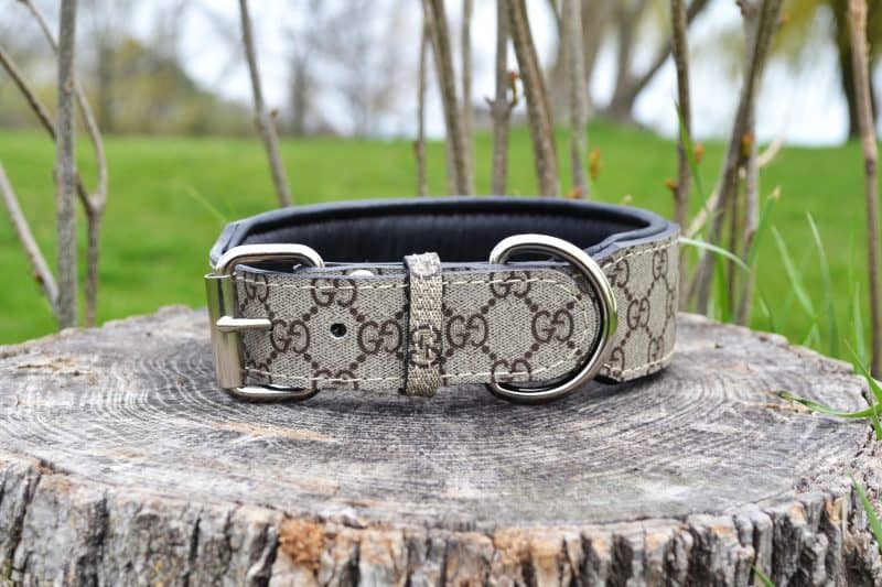 GUCCI DOG COLLAR