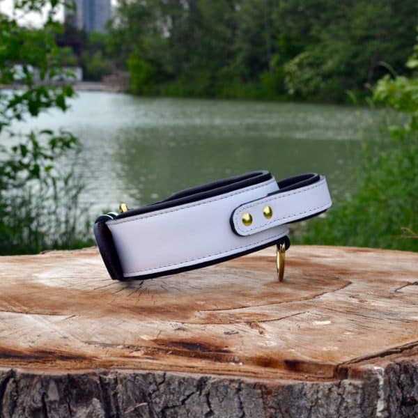 Dante's Closet Dog Collar with Handle