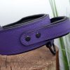 Dante's Closet Custom Dog Collars