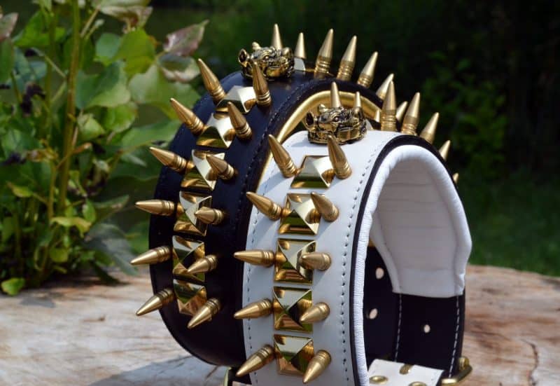 Dante's Closet Custom Dog Collars