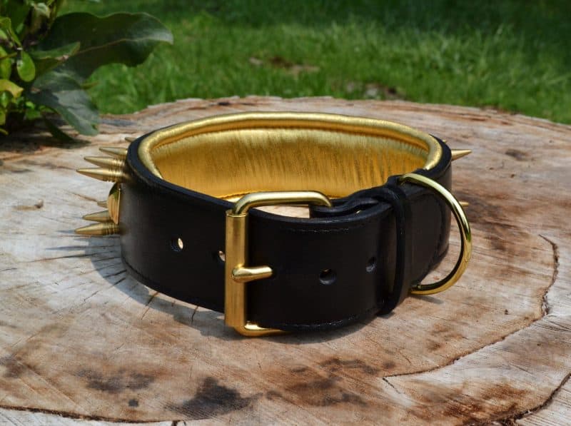 Dante's Closet Custom Dog Collars