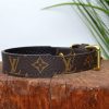 Dante's Closet Custom Dog Collars