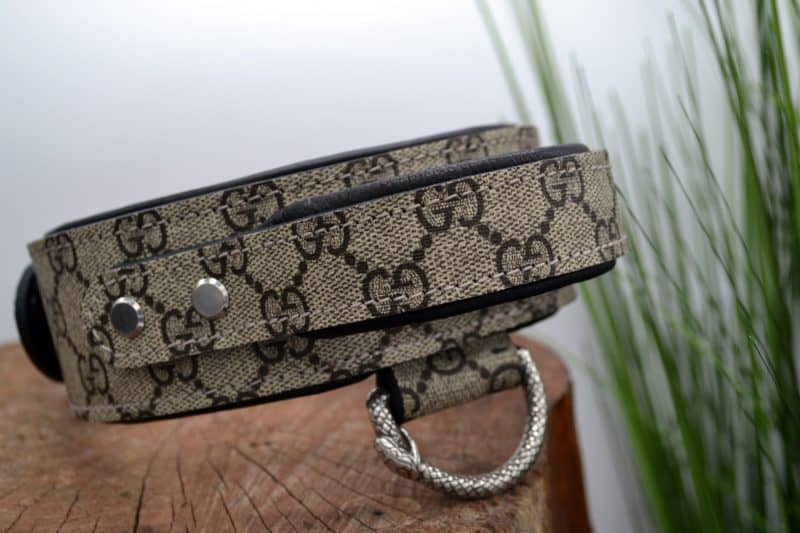 Dante's Closet Custom Dog Collars
