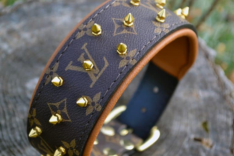Louis vuitton Dog collar with Spikes