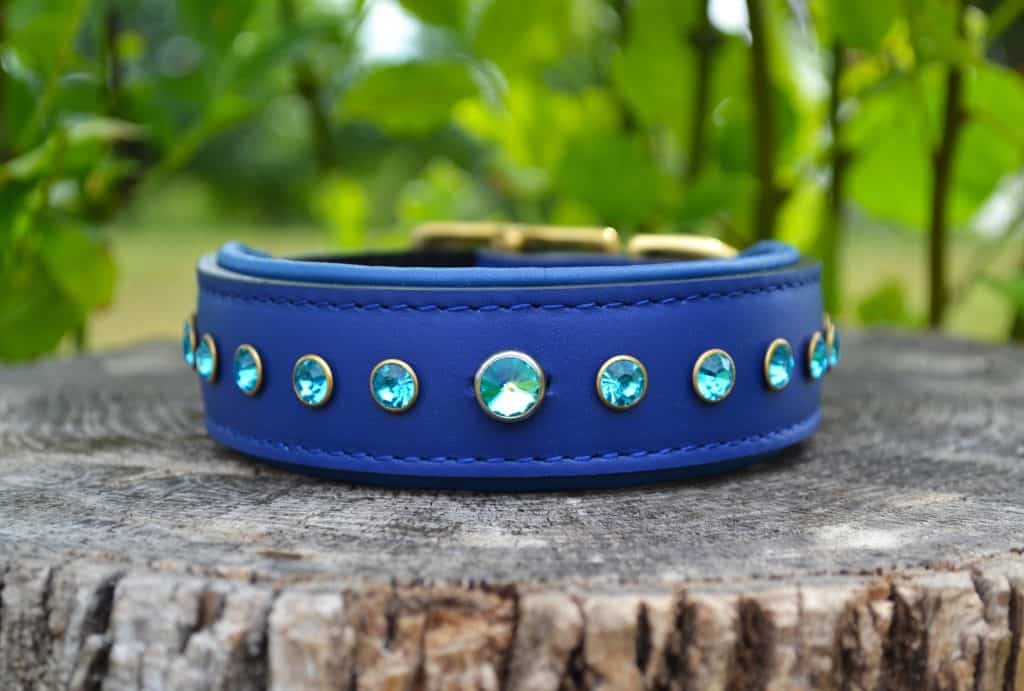 Dodger Blue Collar Ready To Ship Dante's Closet Luxury Dog