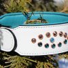 Unique Leather Female Dog Collar