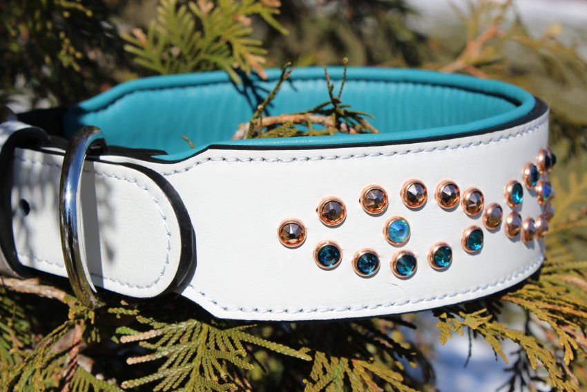 Unique Leather Female Dog Collar