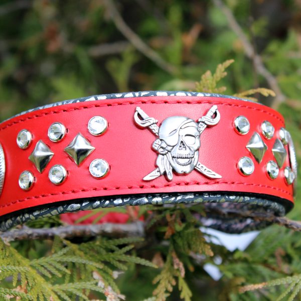 Custom Red Dog Collar