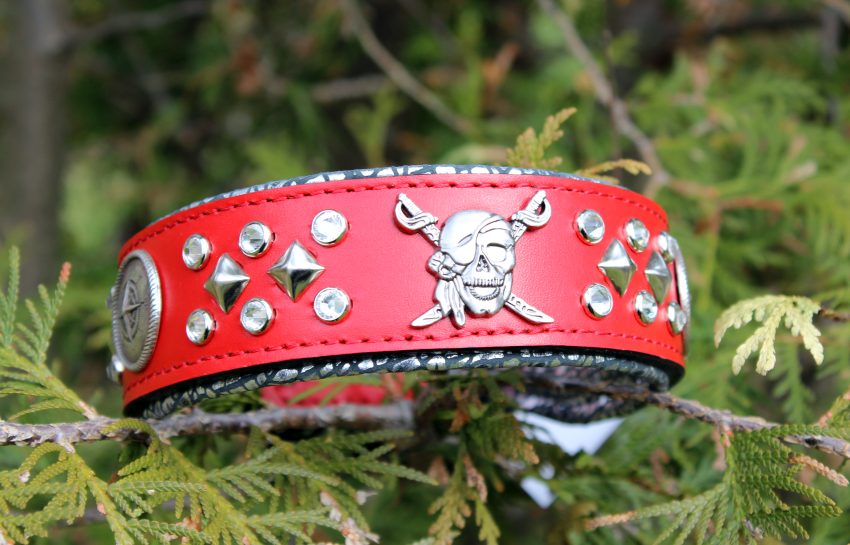 Custom Red Dog Collar