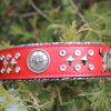 Custom Red Dog Collar