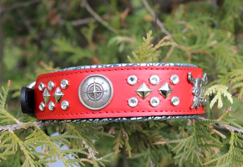 Custom Red Dog Collar