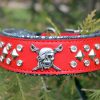 Custom Red Dog Collar