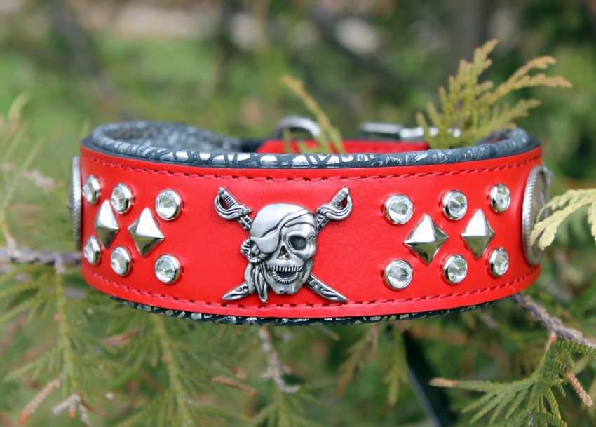 Custom Red Dog Collar