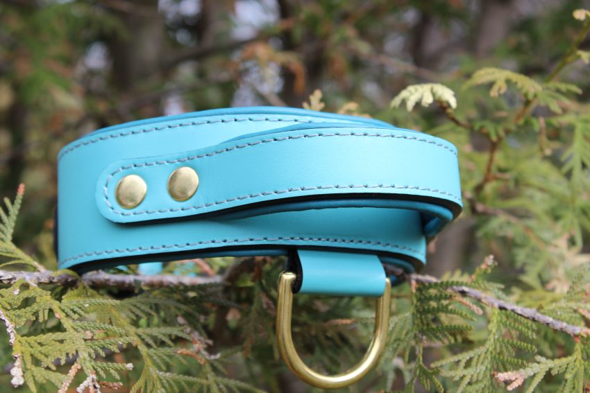 Blue tactical handle collar