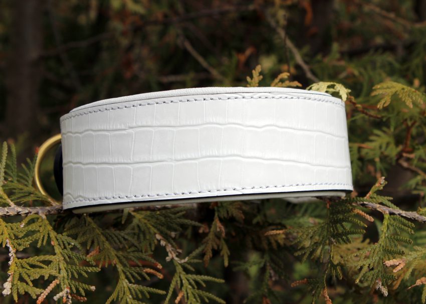 White Crocodile dog collar